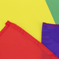 Bandera Arcoíris De Orgullo LGTB 90x150CM Decoración De Polyester Impresión Para Fiesta Y Uso Doméstico - details 4