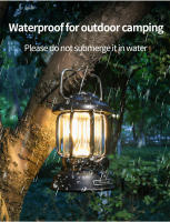 Lámpara De Camping Portátil Recargable USB Luz LED Retro Para Emergencias Pesca Senderismo Nocturna Impermeable - details 3