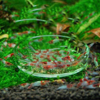 Tanque De Acuario Transparente Alimentador De Peces Y Camarones Círculo De Alimento De Vidrio Fleeting Para Sujeción En La Base - details 0