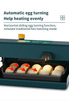 Incubador De 10 Casas Pequeñas Para Huevos Con Función De Girado Automático Control De Humedad Y Temperatura Para Cría De Pollos - details 7