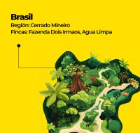 KAFI Café de Brasil 100 % Arábica en grano – Cerrado Mineiro  – Café de especialidad, tostado fresco semanal - - details 0