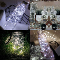 Cadenas De Luces Faeiry 1/5/10pcs Para Decoración De Hogar Dormitorio Jardín Navidad Boda Año Nuevo LED Con Pilas Incluidas - details 15