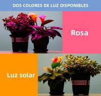 Lámpara De Cultivo Interior LED De Espectro Completo Para Plantas 220V Iluminación Para Verduras En Macetas Frutas Y Suculentas En Estufa - details 8