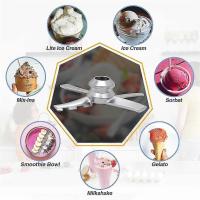 NC300 Series fabricantes de Helados, paleta de Mezclas NC301 - details 2