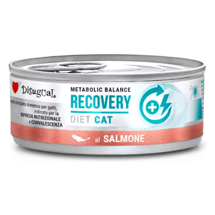 Disugual Diet Cat Húmedo Salmón – Recuperación para Gatos 85gr - 1