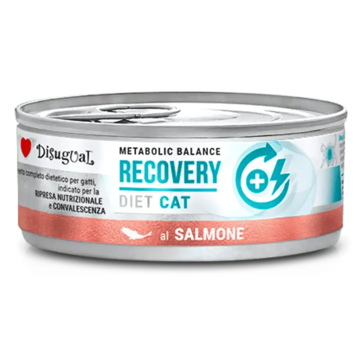 Disugual Diet Cat Húmedo Salmón – Recuperación para Gatos 85gr - 1