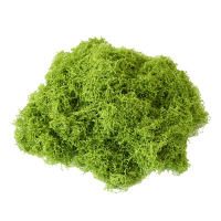 Plantas Artificiales Verdes Alrededor De 20g Poliéster Moqueta Hierba Para Decoración De Hogar Sala De Estar Jardín Mini Paisaje Flores Falsas DIY Artesanía - details 17