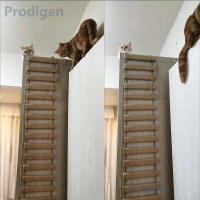 Ladder De Sisal Para Gatos Madera Y Cuerda De Aro Accesorio De Muebles Para Mascotas Subida Para Gatos Juguete De Aro Para Gatos - details 4