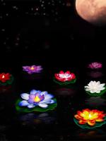 Lámpara De Noche LED Multicolor Loto Sensor 10CM 6PCS Flor Flotante Para Jardín Y Acuario Decoración Festiva Luz De Loto - details 4
