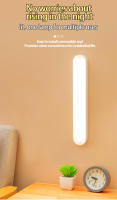 Lámpara De Armario 42CM LED USB Con Control Remoto Y Luz Nocturna Magnética Para Estudio Oficina Dormitorio Iluminación De Gabinete - details 3
