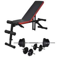 vidaXL Banco Abdominales Barras Mancuernas Pesa Ejercicio Entrenamiento Peso 30.5 kg, 60.5 kg - details 1