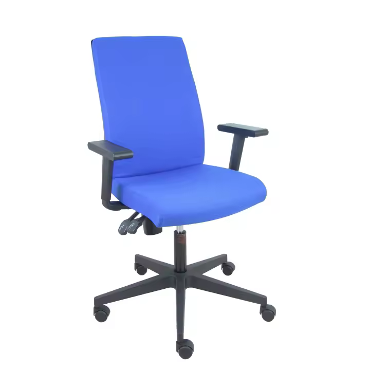 Silla de Oficina Ergonómica Piqueras Y Crespo con Brazos Regulables y Respaldo Adaptativo - 1