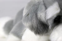 Muñeco De Peluche Kawaii Schnauzer Pequeño Suave Simulación Juguete De Peluche Para Niños Animal De Peluche Lindo Accesorio Fotográfico Regalo De Cumpleaños Para Niñas - details 6