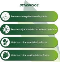 Flonatur, Abono Plantas, Abono Azul Granulado, Fertilizante para Plantas Verdes, Tomates y Orquideas, NPK 12-6-12 Abono Azul Universal para Mezclar con Tierra para Plantas - details 2