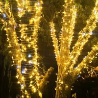 Garland De Luces De Fairy Solar LED 8 Modos Para Jardín Exterior Decoración De Navidad Boda Fiesta Lámpara De Ceniza 5/7/12/22M - details 4