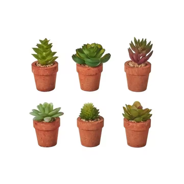 Dcasa Set de 6 plantas artificiales de cactus con maceta de pastade papel terracota - 1