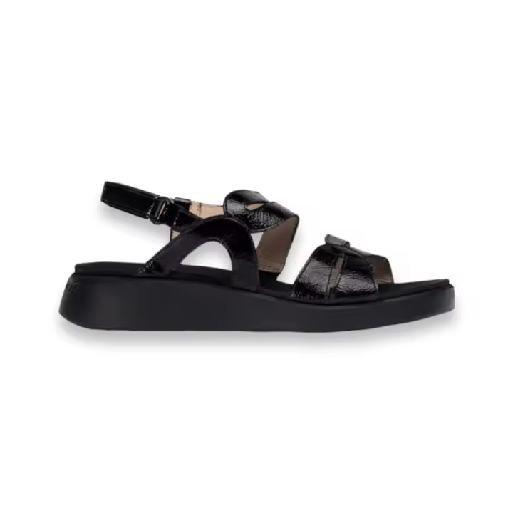 Calzado Sandalias marca Wonders modelo C-6534-Ne para mujer en color negro - 1