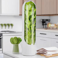 Contenedor De Almacenamiento Para Hierbas Frescas Herb Saver Guardia De Vainilla Preservación De Verduras Para Nevera Y Cocina - details 6