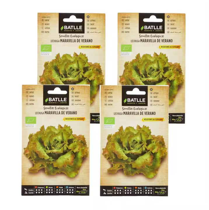 4 Sobres de Semillas lechuga maravilla de verano ecológica de Semillas Batlle. - 1