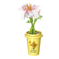 Bloques De Construcción DIY MOC Plantas Succulentas Cactus Gypsophila Bonsái Jardín Modelo Romántico Para Niños Kit De Juguetes - details 34