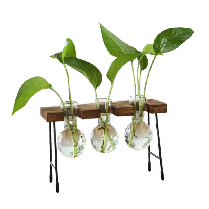 Vaso De Flor De Vidrio Moderno Para Arreglo Floral Y Propagación De Plantas Decoración De Sala De Estar Y Casa Rústica Sin Marca Proveniente De China Continental - 1