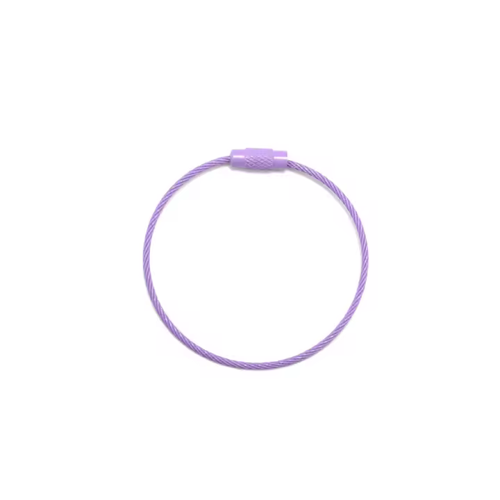 10Pcs/Lote Anillos De Acero Inoxidable Para Llaveros Hilo De Cable De Correa Porta Llaves DIY Herramientas Para Joyería Manual - 1