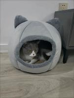 Cama Para Gato Cueva Lavable Cama Para Mascotas Plegable Con Removible Medio Calor Para Gatos Pequeños Y Perros Pequeños - details 5