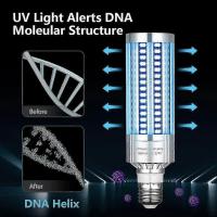 2020 Última Lámpara de Desinfección Uv Esterilización Uv Bombilla 60W 100-265V con Control Remoto Timming Libre de Ozone de Alta Calidad - details 2