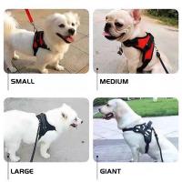 Harnés Ajustable Para Perros De Todas Las Tallas Con Correa Reflectante Correa De Entrenamiento Al Aire Libre Para Pequeños Medianos Y Grandes - details 6