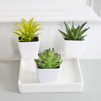3 Macetas De Plantas Simuladas Pequeñas Para Decoración De Oficinas Salones De Estar Ventanas Jardines Y Courtyards - details 0