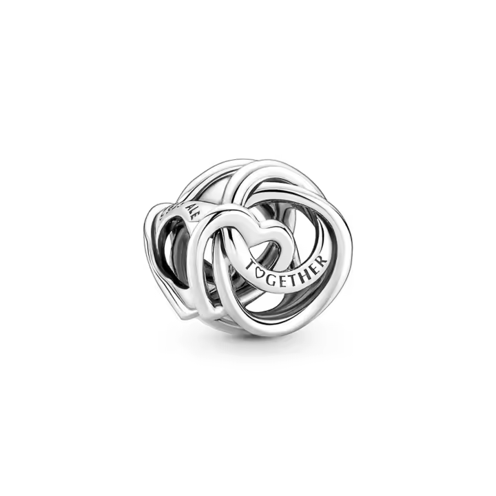 Charm Pandora 791507C00 Corazón círculo familiar - 1