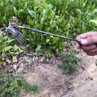 Aerador De Jardín De Acero Manganés Herramienta Manual Para Eliminar Malas Hierbas Y Raíces De Grama Multifuncional Para Suelo Arenoso - details 4