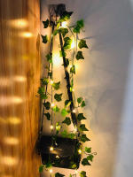 Lámpara Solar Artificial Hoja Cadena De Flores LED Para Decoración De Navidad Jardín Ceremonia Bodas Fiesta Exterior - details 6