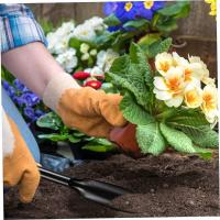 4 piezas de Pala de Jardín Para transplantar plantulas, juego de herraciones de jardinería, 2 puntiagudas y 2 Planas. - details 3