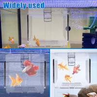 Caja De Cría De Acuario Acrílica Con Tapa Desmontable Para Pequeños Peces Y Cangrejos Incubador De Peces Con Malla Transparente Para Aislamiento - details 4