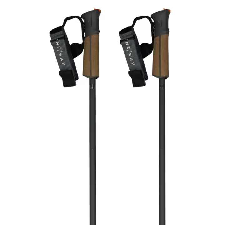 Fischer Bastones Gt 13 Comp Mag Marrón Unisex Adulto - 1