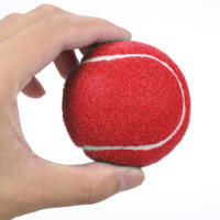 12 Packs De Bolas De Tenis De Entrenamiento Y Ajuste Presión Para Playa Deporte Práctica De Tenis - details 11