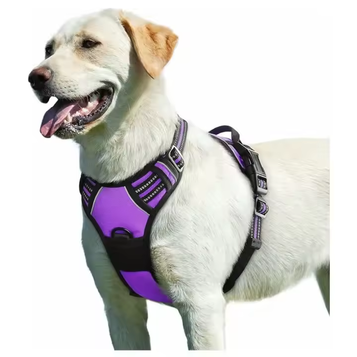 Arnés para Perros Morado Reflectante L con Asa de Control - 1