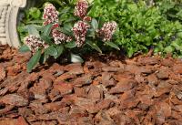 flonatur, Corteza de Pino Decorativa 70 litros, Ideal para Macetas, Arriates, Plantas y Zonas de Jardín, Protege de Malas Hierbas y Reduce la Erosión - details 0