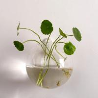 Vaso De Hierro Hidroponía Transparente Para Acuarios Pequeños En Pared Con Plantas Y Peces Juego De Decoración Para El Hogar - details 2