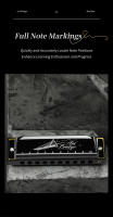 Harmonica Blues De 10 Agujeros En Clave C Con Estuche Diatónica Para Jugador Profesional Principiante Estudiantes Regalos Para Adultos - details 3