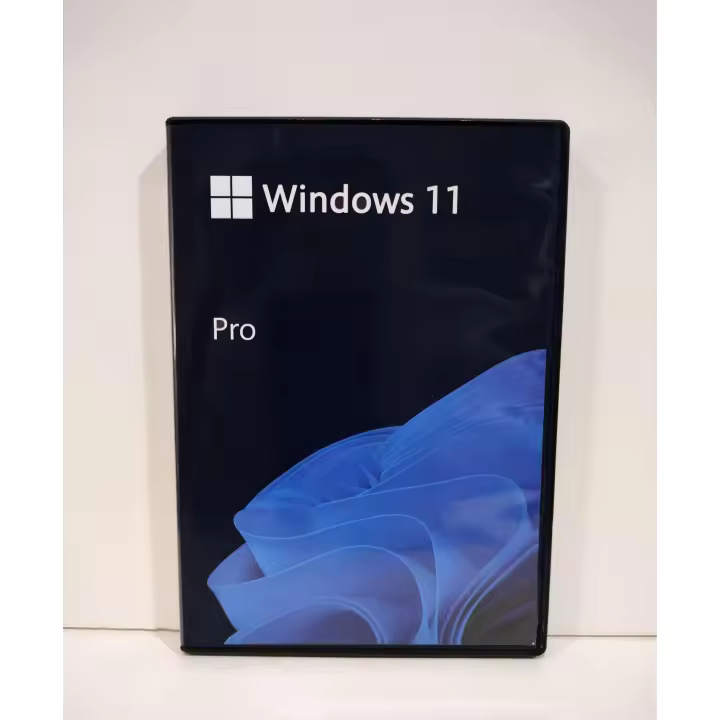 Windows 11 Professional 64 bits, Licencia permanente OEM incluida, Sistema operativo Windows 11 Pro - 1