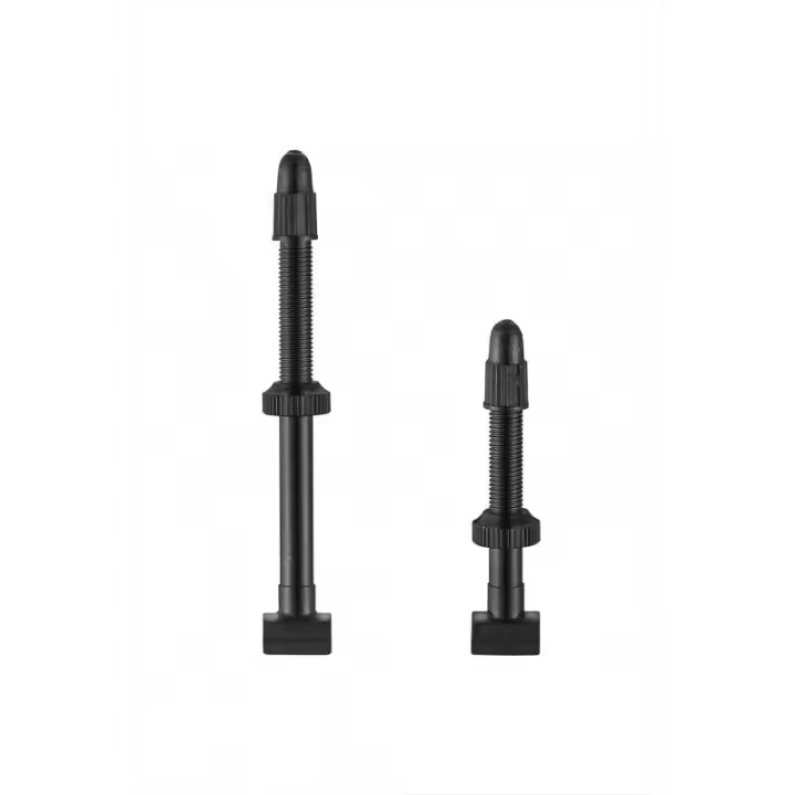 Giant - Válvula Tubeless X2 80mm para Sistemas de Ruedas de Bicicleta, con Obús Extraíble para Sellado Fácil del Neumático, Ideal para Reparación y Mantenimiento de Bicicletas - 1
