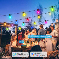 Tuya Smart WIFI Bombilla LED Cadena De Luz USB 15M 25 Bombillas Luces De Navidad Para Decoración De Habitaciones Jardines Y Bodas Guirnalda De Luces LED - details 3