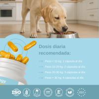 Vittalogy Condroprotector para Perros 120 Cápsulas ✅ Entrega 24/72h - details 0