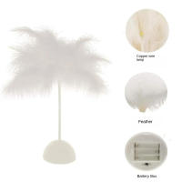Lámpara De Mesa Con Plumas Luz Nocturna LED Para Decoración De Bodas Y Dormitorios Con Control Remoto Fuente De Alimentación Por Batería - details 0