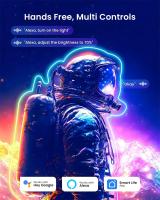 Luces De Neón LED RGBIC Dreamcolor Strip Con Control Remoto Por App Luz Flexible Cambiante De Colores IP68 Para El Hogar - details 4