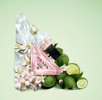 Eau de Par fum Par a doxe Virtual Flower Pr a d Bea uty 90ML - details 1