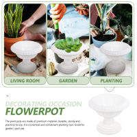 Maceta Plástica Para Plantas Hidroponicas Decorativa Para El Hogar Y Balcones Adecuada Para Scindapsus Y Otros Plantas - details 6