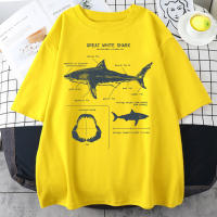 Camiseta De Tiburón Blanco Grande Para Hombre Estilo Hip Hop Punk Casual Manga Corta Verano Prenda Deportiva Teekossc - details 11